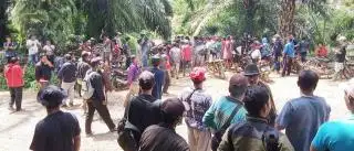 Warga Panen Sawit PT DDP, Security Lapor Polisi Karena Dikeroyok