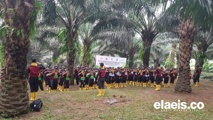 Saatnya Anak Petani Raih Impian Lewat Beasiswa Sawit 2023