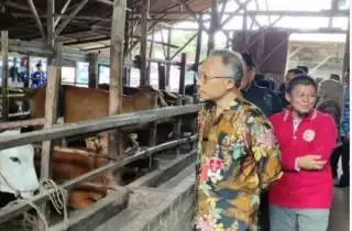 Sukses Kembangkan Perkebunan dan Peternakan, Desa ini Bisa Jadi Percontohan di Sumatera