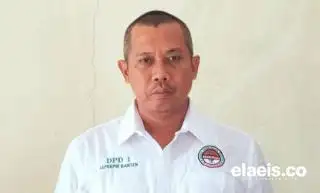 Petani Pandeglang Sumringah Tunggu Panen Perdana Sawit Hasil Peremajaan