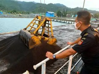 Penerimaan Bea Keluar di Bengkulu Didominasi Cangkang Sawit