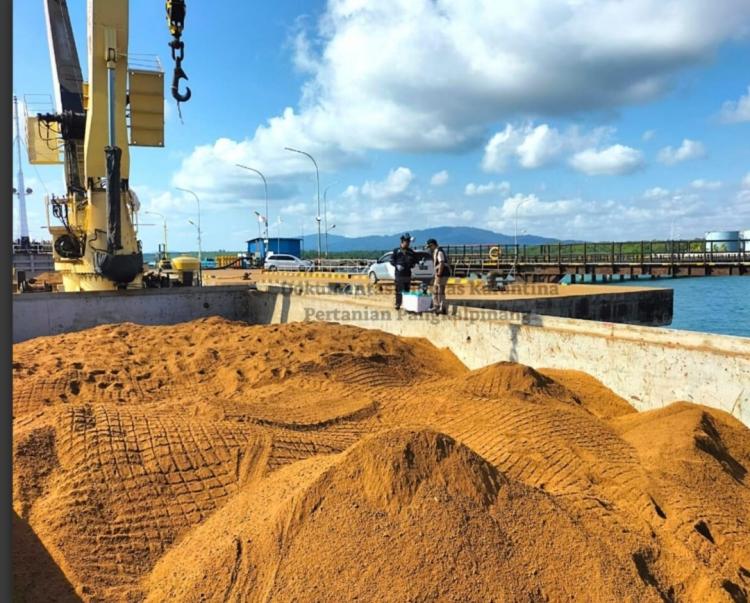 Sebulan Terakhir, Lebih 10.000 Ton Produk Sawit Melintas dari Pelabuhan ini