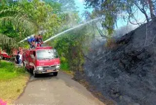 Kemarau, Petani Sawit Kembali Diingatkan Jangan Gunakan Api di Kebun