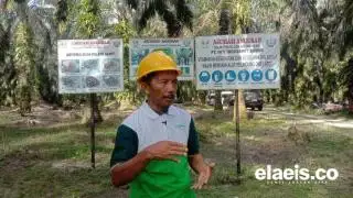 Sutoyo: Pola Pikir Petani Berubah Usai Dapat Bimbingan dari Perusahaan