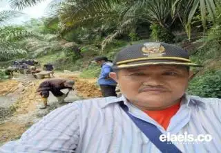 Apkasindo Dukung Pemkab Batanghari Targetkan PSR 3.851 Hektare Tahun Ini