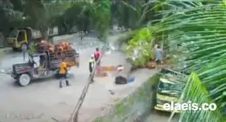 Naas! Buruh di Inhu Ditimpa Pohon saat Bongkar Muat Sawit