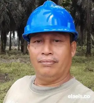Petani Mustahil Bisa Ngurus Sertifikat Lingkungan Jika EUDR Berlaku