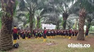 Sisa 3 Hari Lagi, Sudah 3.150 Peserta Lolos Seleksi Administrasi Beasiswa BPDPKS