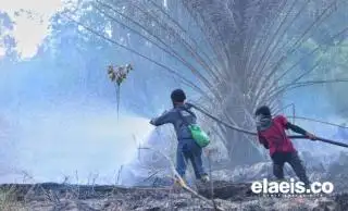 Ribuan Hektar Cagar Biosfer Giam Siak Kecil Rusak, Sudah 650 Hektar jadi Kebun Sawit