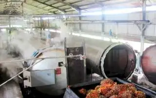 PKS di Bengkulu Mulai Tinggalkan Batu Bara, Beralih ke Limbah Sawit