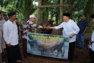 Syukuri Nikmat, Petani Sawit Dihimbau Berkurban pada Idul Adha