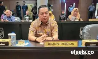 Waduh, Harga TBS Sawit Plasma di Riau Ditetapkan Turun Minggu Ini