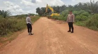 2.250 Hektar Kebun Sawit di Kalteng Ditargetkan Diremajakan Tahun ini