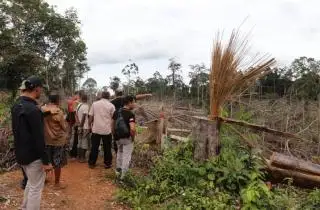 Petani Sawit Harus Cermat Memilih Lahan, Supaya Tidak Sesal Kemudian