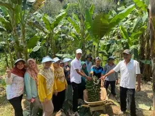 Warga Pulau Enggano Tolak Sawit, Pilih Pisang Kepok