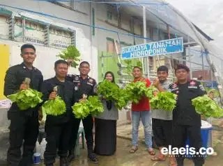 Manfaatkan Lahan Tidur, Kepala Rutan Rengat Berhasil Bina WBP Jadi Petani Hidroponik
