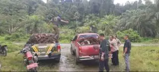 Pengelolaan Kebun Diserahkan ke Pengepul, PDKS Sepakati Bagi Hasil 40:60