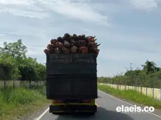 Sopir Truk Sawit Mengeluh Susah Dapat Solar hingga Pemblokiran Barcode, Pihak SPBU Bilang Begini