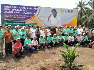 Produksi CPO Nasional Hanya 4 Ton/Hektar, Pemerintah Kebut Program PSR Kemitraan