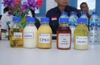Pabrik Pengolahan CPO Diminta Prioritaskan Kebutuhan Lokal