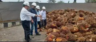 Pabrik Pengolahan Kelapa Sawit PTPN VII Bekri Raih Predikat Terbaik 2023