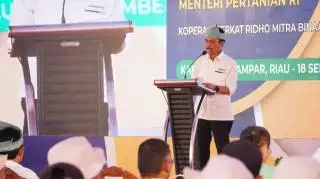 Sejak 2016, BPDPKS Telah Gelontorkan Dana Rp8,18 Triliun untuk PSR