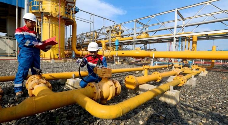 PGN dan Tiga Perusahaan Jepang Siap-siap Produksi Biomethane dari Limbah Sawit