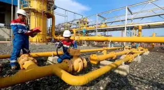 PGN dan Tiga Perusahaan Jepang Siap-siap Produksi Biomethane dari Limbah Sawit