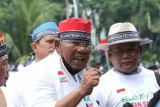 Petani Minta Pemerintah Tak Samakan Perkebunan Sawit Rakyat dan Korporasi Terkait Kawasan Hutan