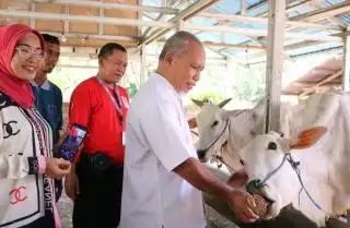Peternak di Bulubete Dibimbing Buat Pakan Ternak yang Tahan Disimpan Bertahun-tahun