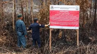 Karhutla Meluas, Perusahaan Sawit Milik PMA Singapura Ikut Disegel