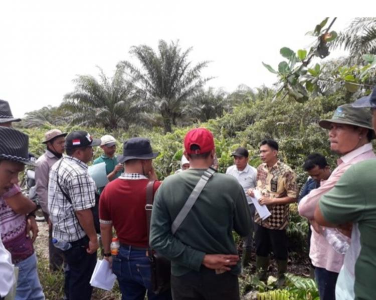 Kebun Sawitnya Terbakar, Perusahaan ini Dihukum Bayar Ganti Rugi Lebih Rp 114 Miliar