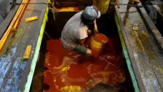 Harga CPO dan Kernel di Riau Masih Fluktuatif, Berikut Daftarnya