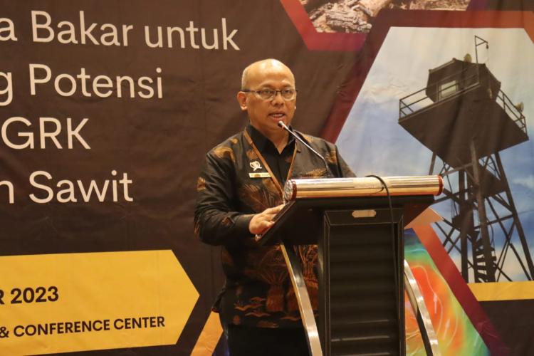 Perlu Penyempurnaan Regulasi untuk Mengakomodasi Perubahan Teknologi Pemantauan & Pengendalian Karhutla