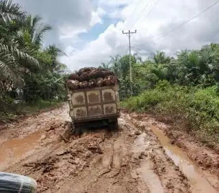 Kecipratan Rp16,8 DBH Sawit, Pembangunan Infrastruktur Jadi Prioritas di Mukomuko