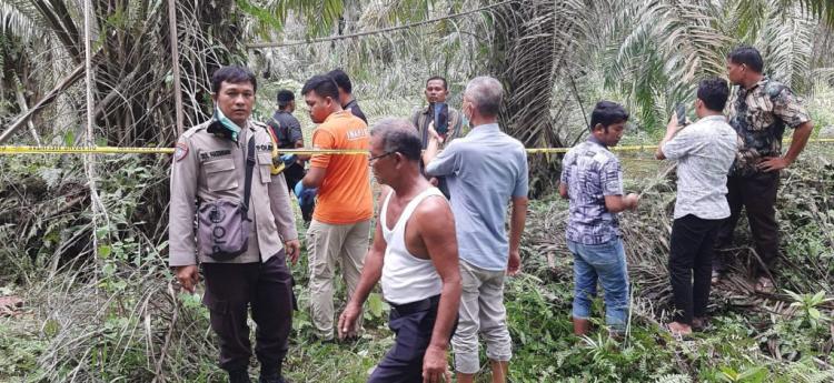 Identitas Mayat yang Ditemukan di Kebun Sawit Terungkap Setelah Dievakuasi ke Rumah Sakit