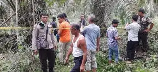 Identitas Mayat yang Ditemukan di Kebun Sawit Terungkap Setelah Dievakuasi ke Rumah Sakit