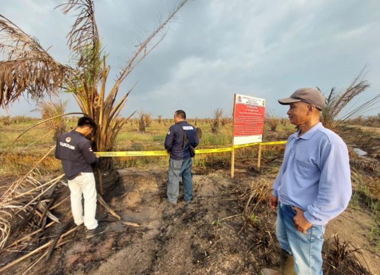 49 Lokasi Karhutla Disegel oleh KLHK, Termasuk yang Dikuasai 8 Perusahaan Asing