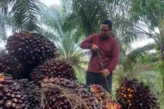 NTP Riau Oktober 2023 Naik 0,82 Persen, Begini Penjelasan BPS