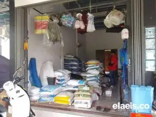 Petani Sawit Keluhkan Kelangkaan Pupuk, Begini Respon Bupati Seluma