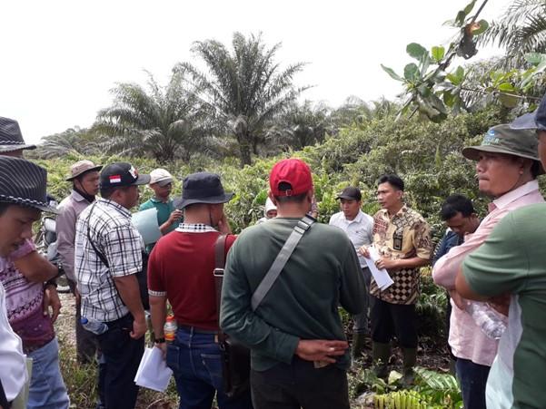 Perusahaan Sawit ini Lunasi Ganti Kerugian Lingkungan Akibat Karhutla, Setor Lebih Rp 114 Milyar