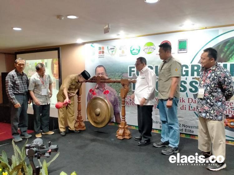 Tingkatkan Wawasan Petani, SAMADE Gelar FGD Pengelolaan Terbaik Kebun Sawit di Lahan Gambut