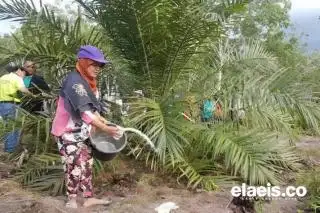Nilai Tukar Petani November 2023 Naik 0,82 Persen, Provinsi Ini yang Tertinggi