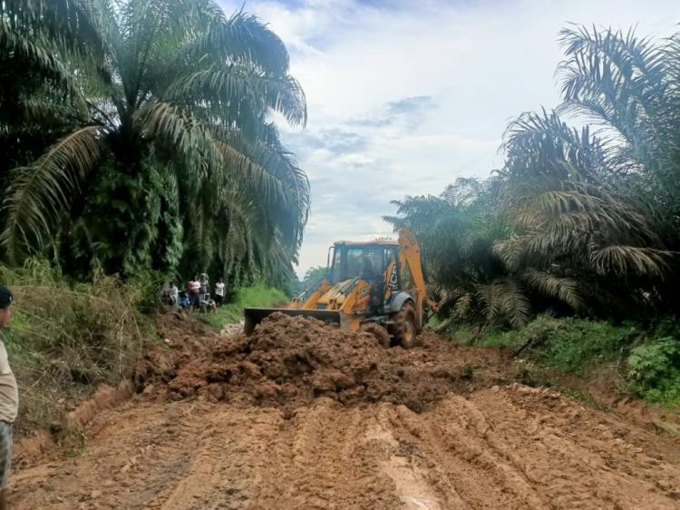 Musim Hujan, Petani Sawit Terpaksa Langsir Hasil Panen Pakai Getek