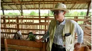 Peternak Diminta Optimalkan Potensi Sawit untuk Pakan Ternak