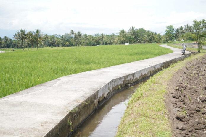 Perlancar Mobilitas, Kementan Bangun JUT Ratusan Kilometer