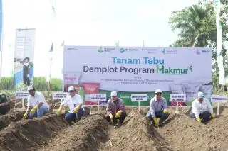 Dorong Produksi 5 Komoditas, Program Makmur Realisasikan Luas Tanam 692 Ha