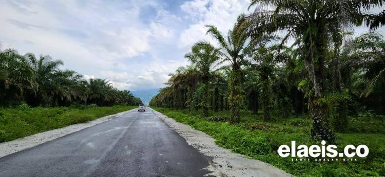 KLHK Lepas 5 Juta Hektar Kawasan Hutan. Termasuk Sawit Dalam Klaim Kawasan Hutan?
