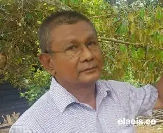 Produksi Masih Anjlok, Petani Sawit di Aceh Utara Kelimpungan