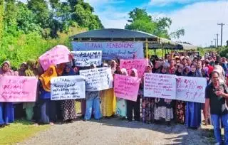 Serahkan Lahan 450 Hektar untuk Kebun Plasma Tapi Tak Dapat Bagi Hasil, Masyarakat Meradang
